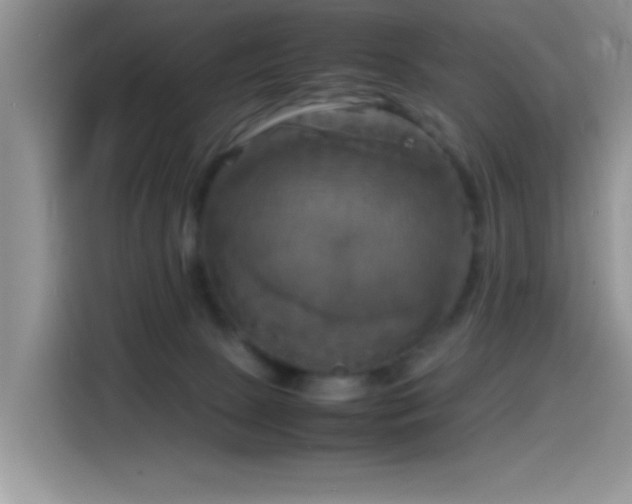 X0000115560081200911061602