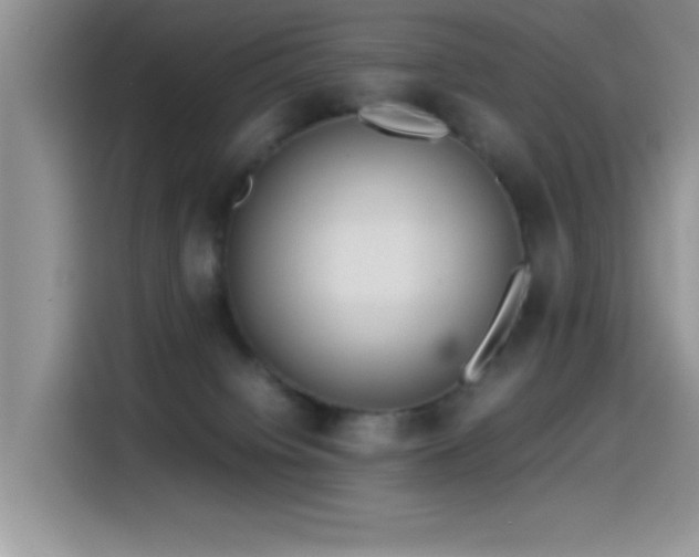 X0000115560084200911061602