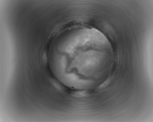 X0000115560086200911061602