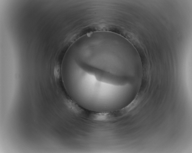 X0000115560090200911061602