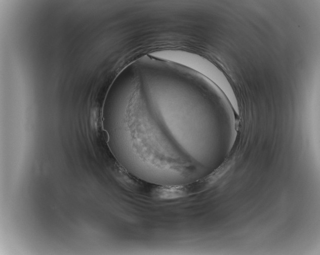 X0000115560093200911061602