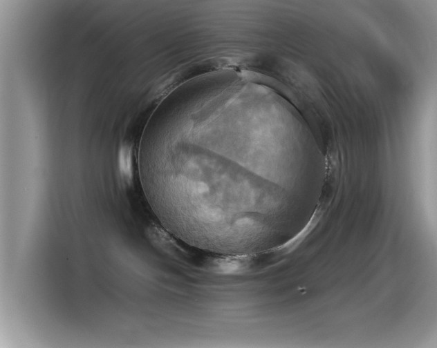 X0000115560094200911061602