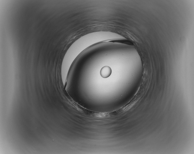 X0000115560096200911061602