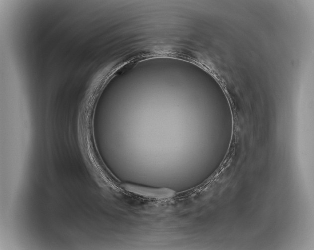 X0000115560097200911061601