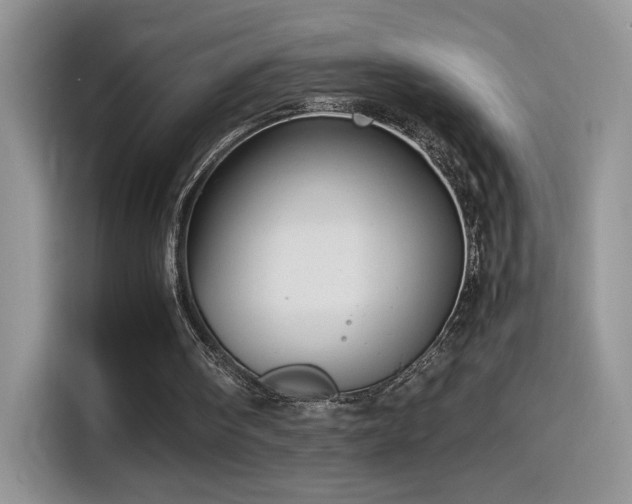 X0000115560098200911061601
