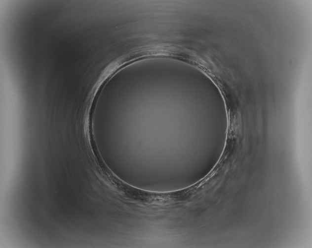 X0000115560099200911061601