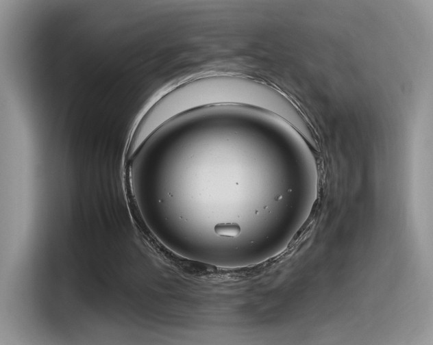 X0000115560100200911061601