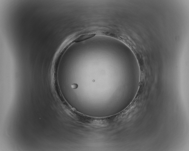 X0000115560101200911061601