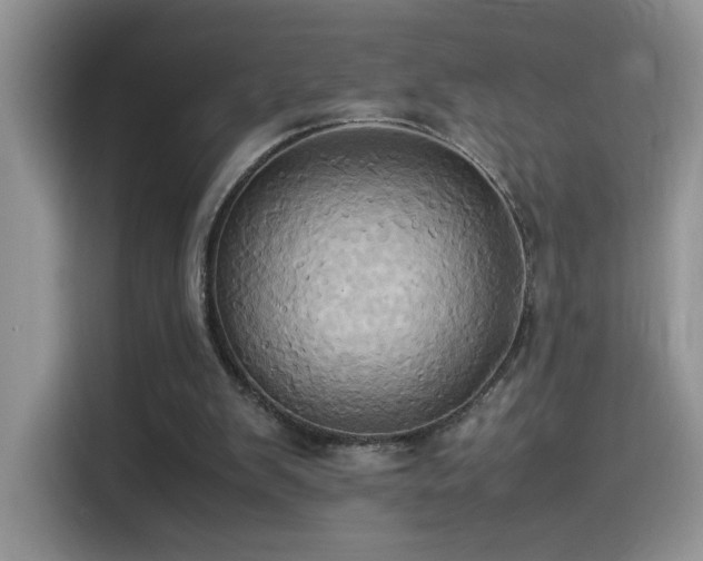 X0000115560103200911061601