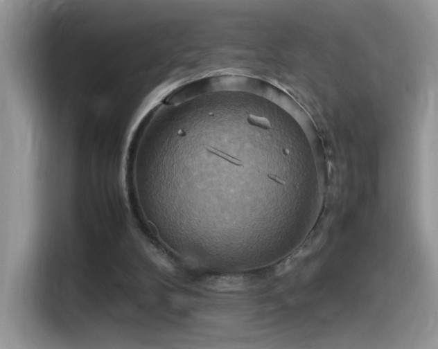 X0000115560104200911061601