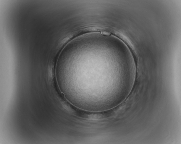 X0000115560105200911061601