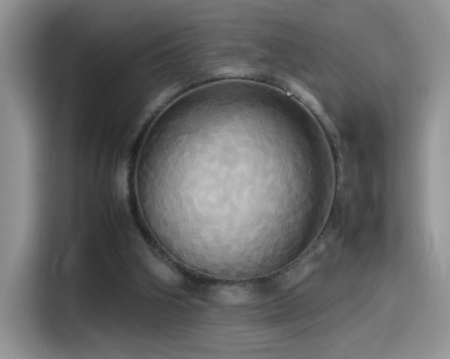 X0000115560106200911061601