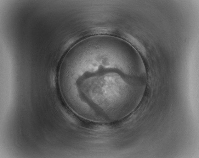 X0000115560107200911061601