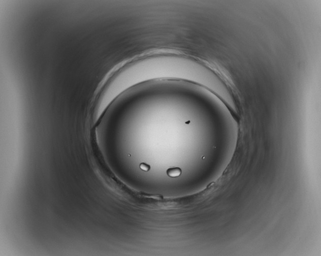 X0000115560108200911061601