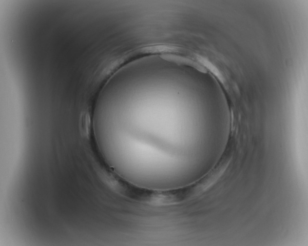 X0000115560109200911061601