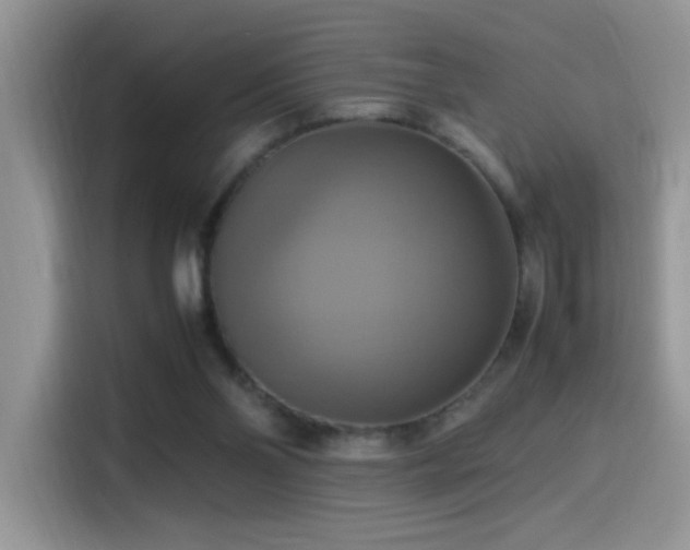X0000115560110200911061601