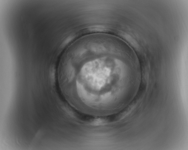 X0000115560111200911061601