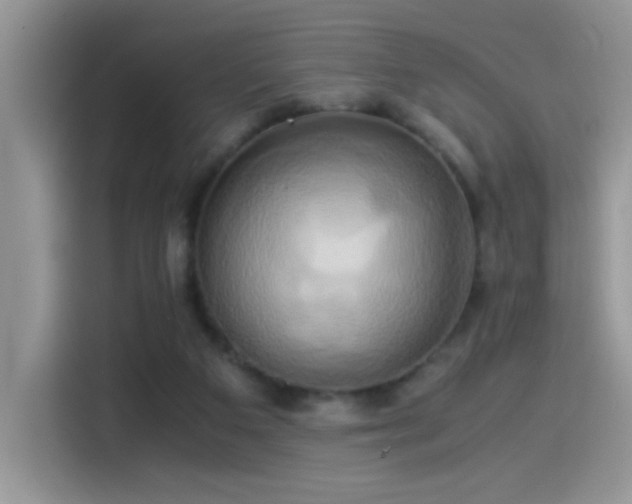 X0000115560113200911061601
