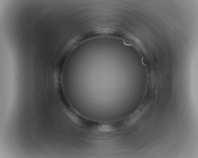 X0000115560114200911061601
