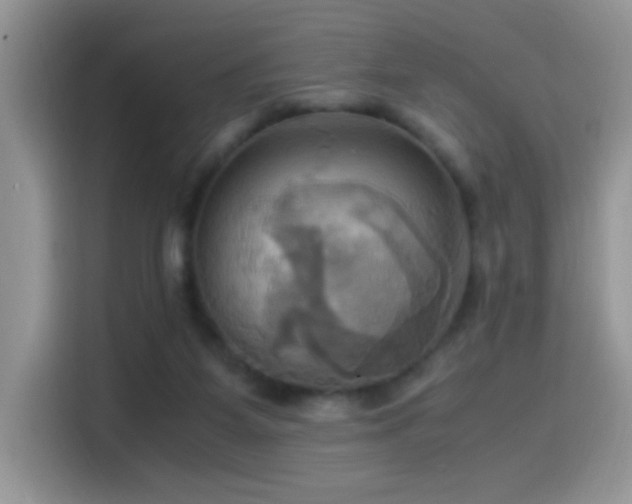 X0000115560115200911061601