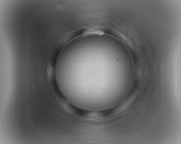 X0000115560117200911061601