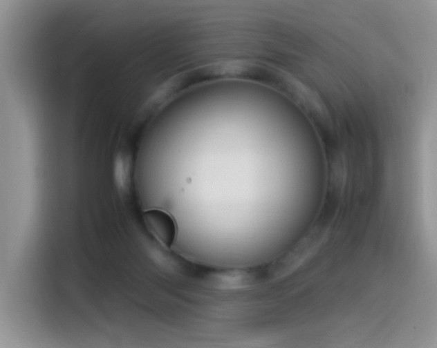 X0000115560118200911061601