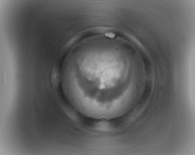 X0000115560119200911061601
