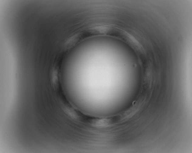 X0000115560122200911061601