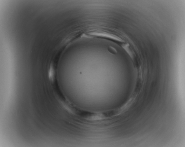 X0000115560124200911061601