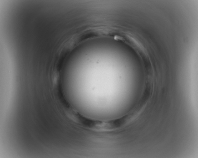 X0000115560125200911061601