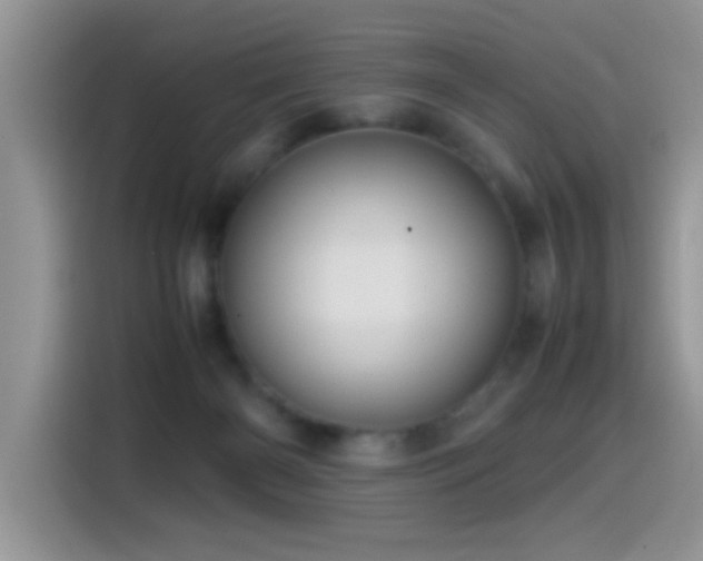 X0000115560126200911061601