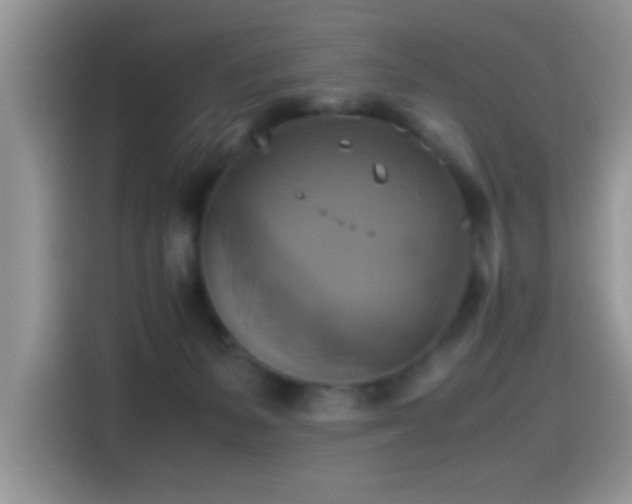 X0000115560127200911061601