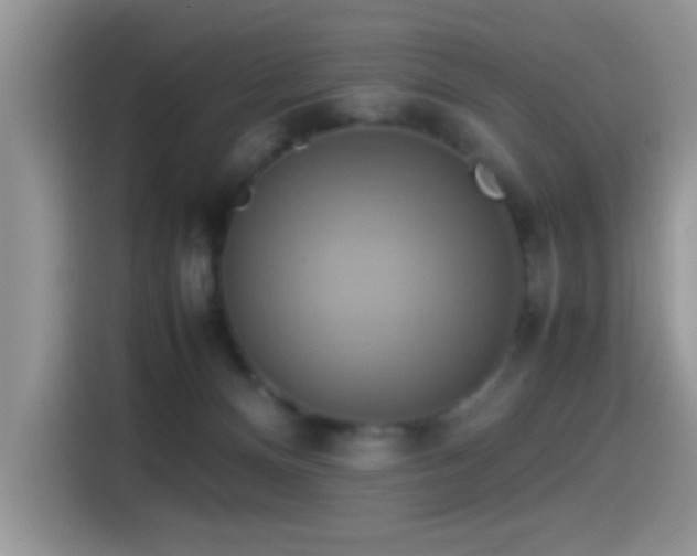 X0000115560128200911061601