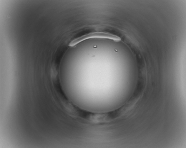 X0000115560129200911061601