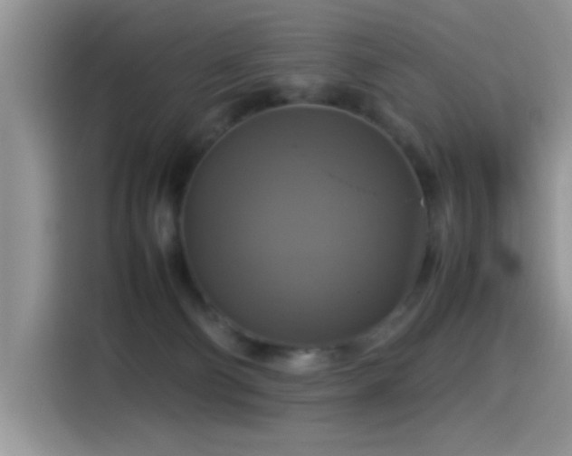 X0000115560130200911061601