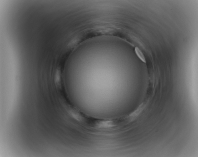 X0000115560132200911061601