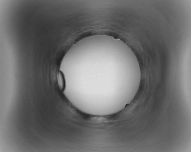 X0000115560133200911061601