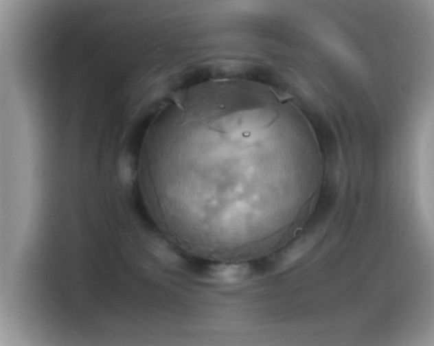 X0000115560135200911061601