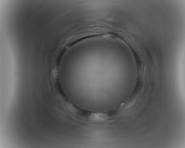 X0000115560137200911061601