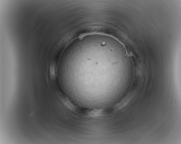 X0000115560138200911061601