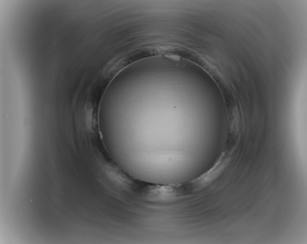 X0000115560140200911061600