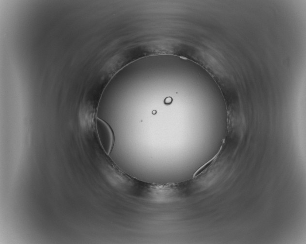 X0000115560141200911061600