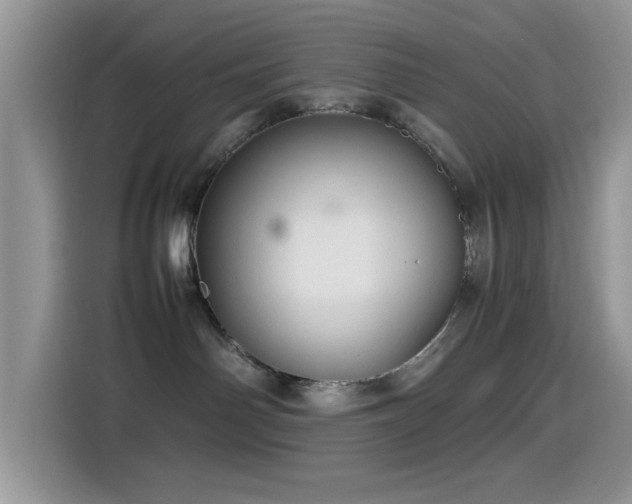 X0000115560142200911061600