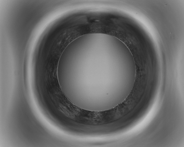 X0000115560143200911061600