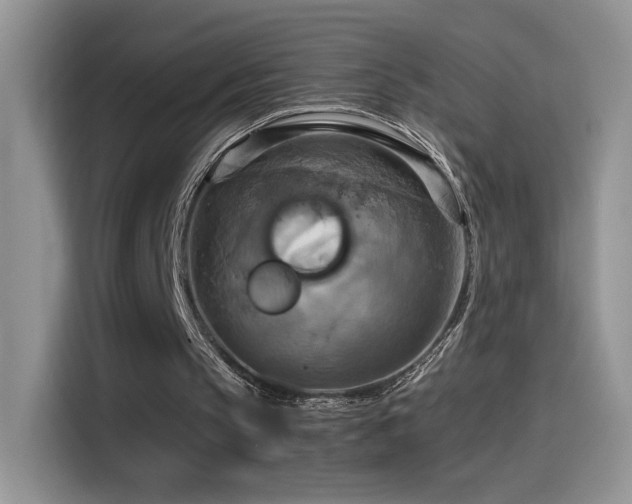 X0000115560145200911061600