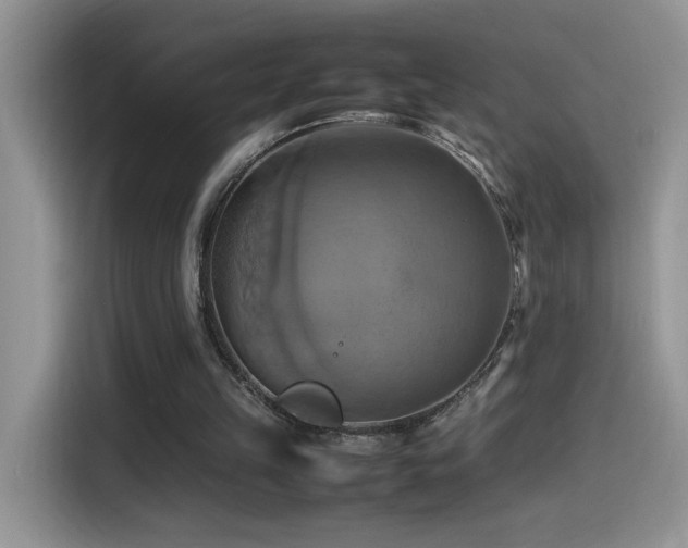 X0000115560149200911061600