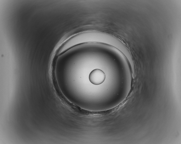 X0000115560150200911061600