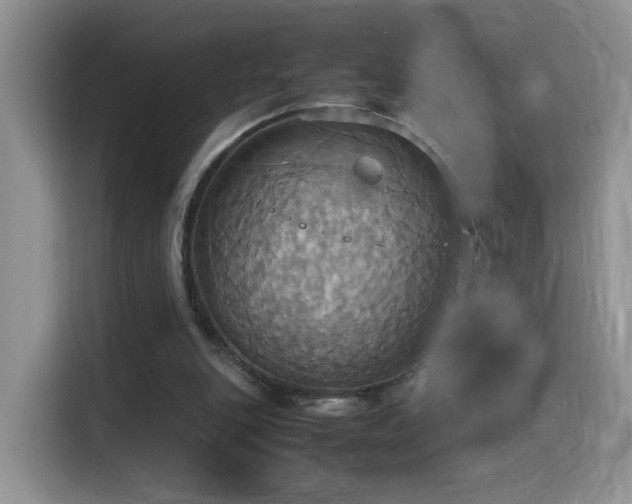 X0000115560151200911061600