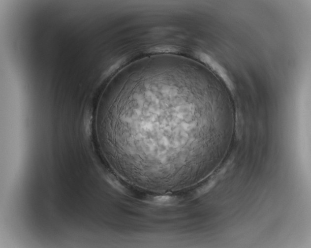 X0000115560153200911061600