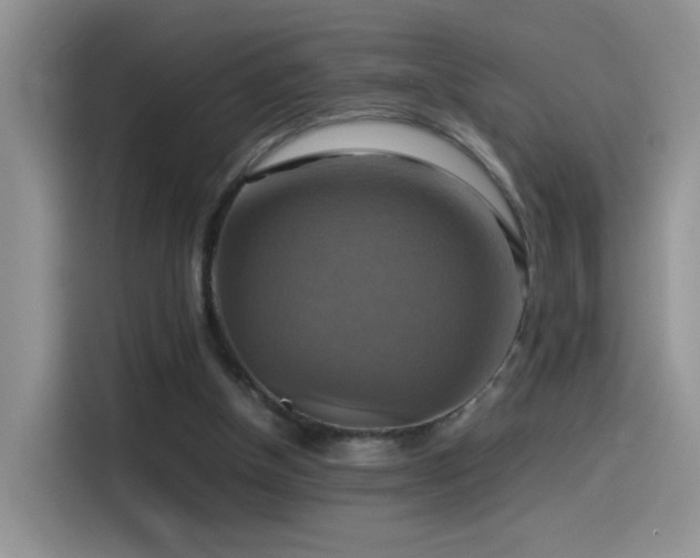 X0000115560154200911061600